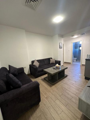 central apartment for rent 21